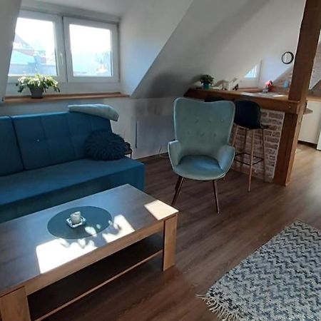 Urocze Studio Z Klimatem W Centrum Legnicy Legnica Dış mekan fotoğraf