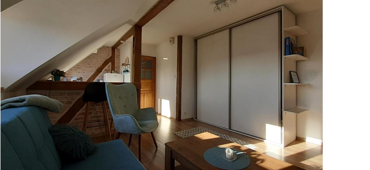Urocze Studio Z Klimatem W Centrum Legnicy Legnica Dış mekan fotoğraf