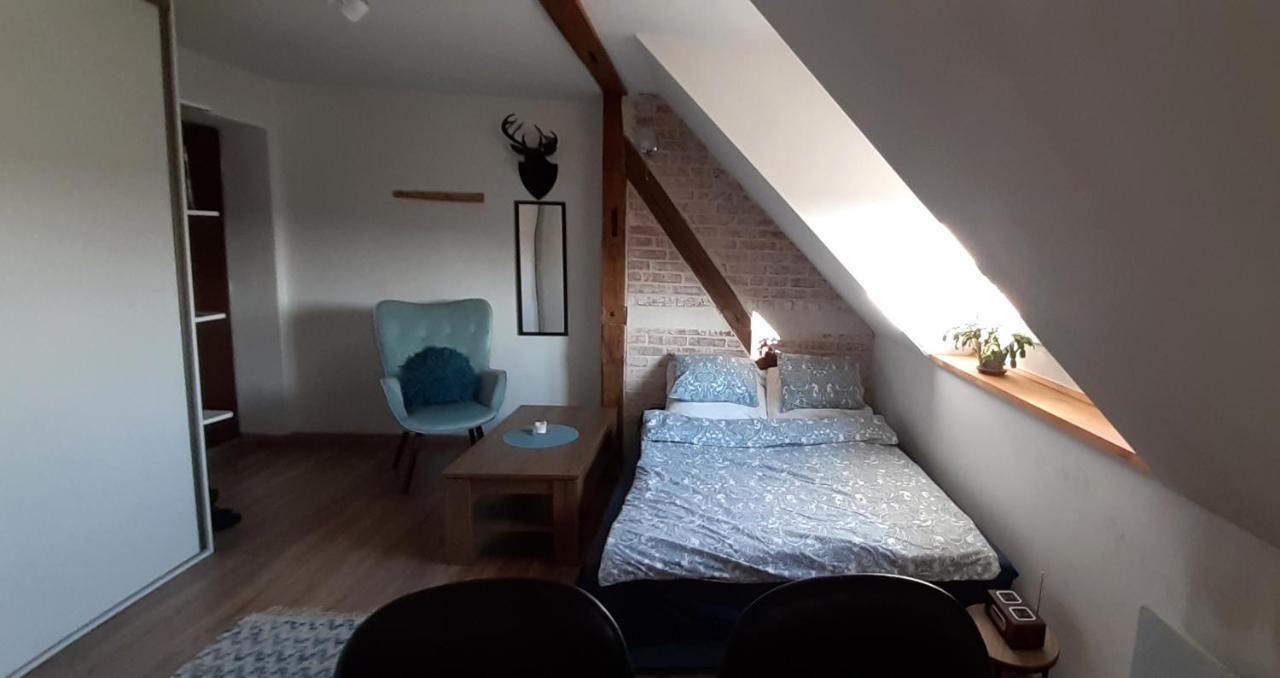Urocze Studio Z Klimatem W Centrum Legnicy Legnica Dış mekan fotoğraf